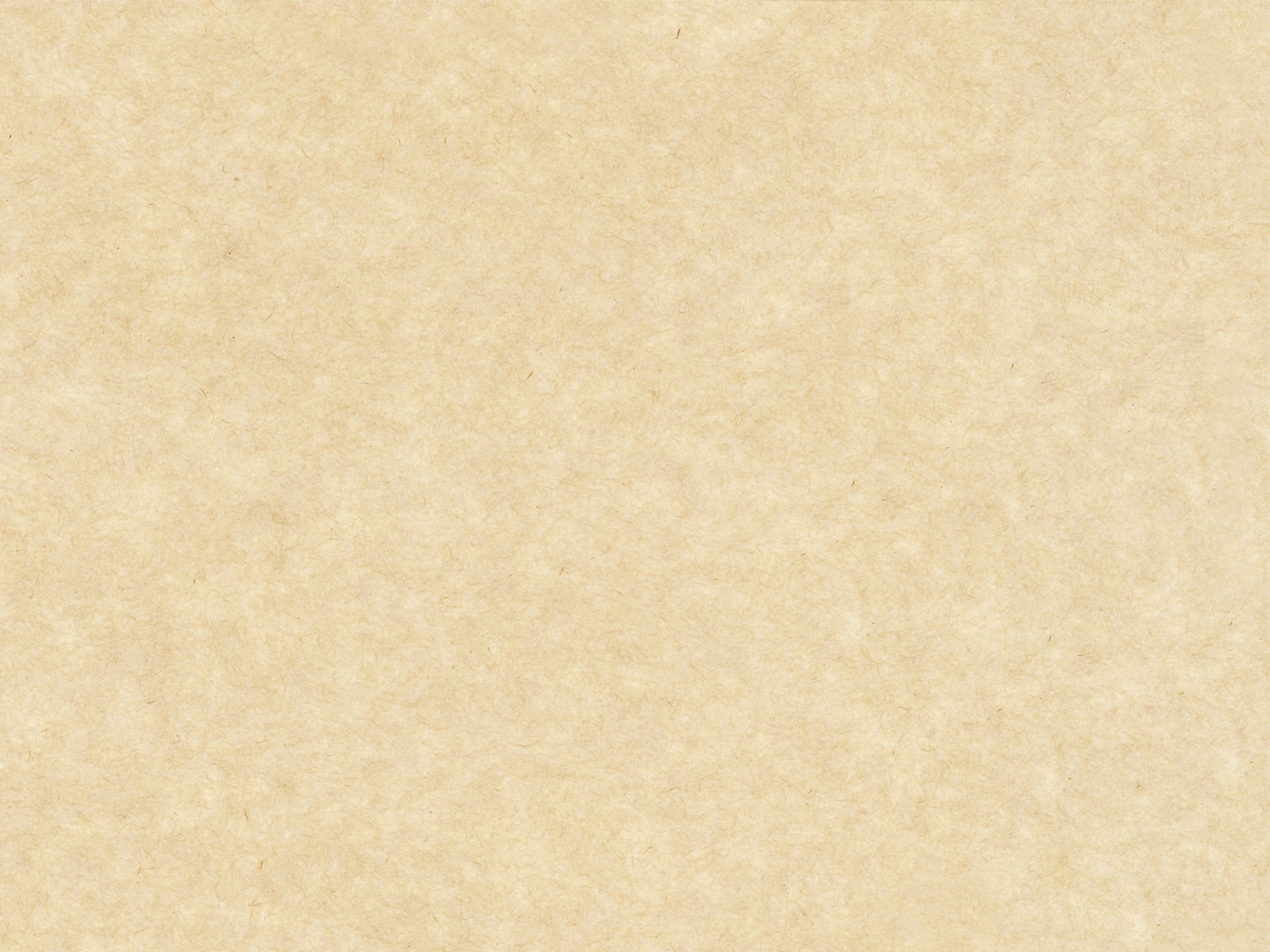 1123081